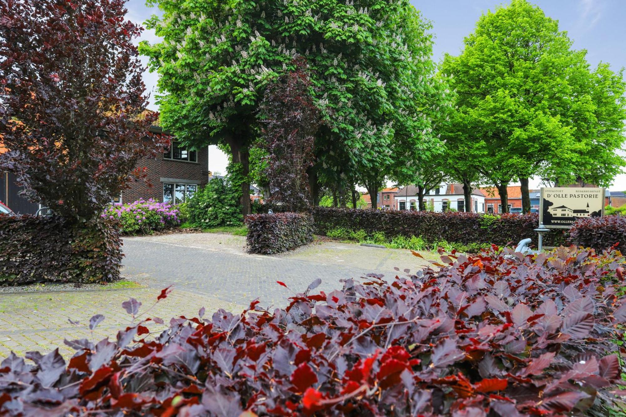 B&B - Sauna D'Olle Pastorie Vierhuizen エクステリア 写真